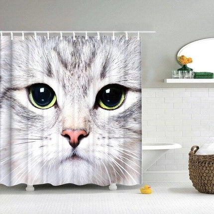 Suihkuverho valkoisen kissan lähikuvalla